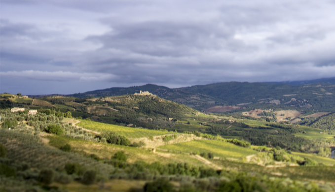 Ciacci Piccolomini D'Aragona